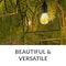 Newhouse Lighting - Outdoor Outdoor Weatherproof 1W (11W Equiv) Shatter-Resistant S14 LED Replace. String Light Bulbs, 30pk S14LED30P - alternate 2